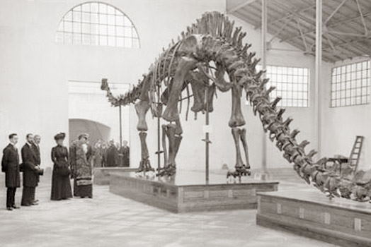 diplodocus-alfonso-xiii Todo cambió el 17 de Mayo de 2021