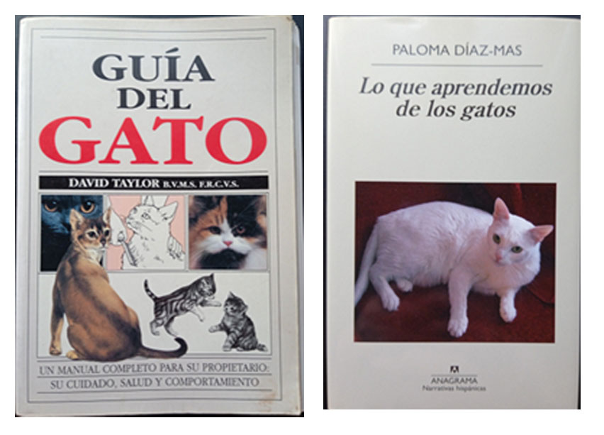 Todo cambió el 17 de Mayo de 2021