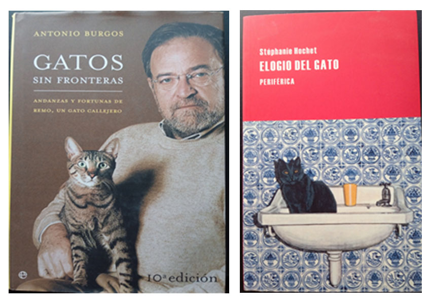 Todo cambió el 17 de Mayo de 2021